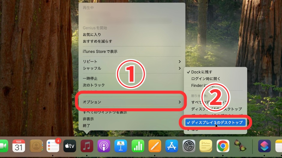 Macマルチモニターでアプリを特定のモニターに固定表示する方法の画像-12