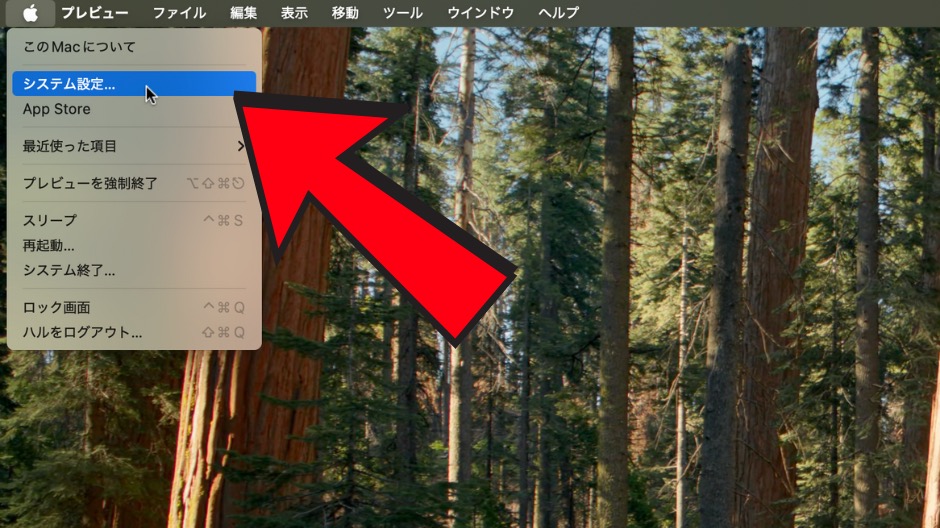 MacBookのストレージを増やす方法の画像-6